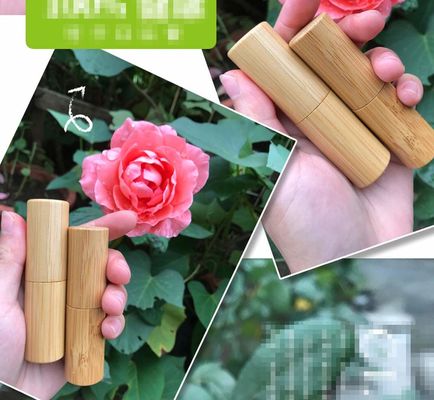 tubos amistosos de Eco Chapstick del envase del tubo de la barra de labios de 5g 5ml 21m m